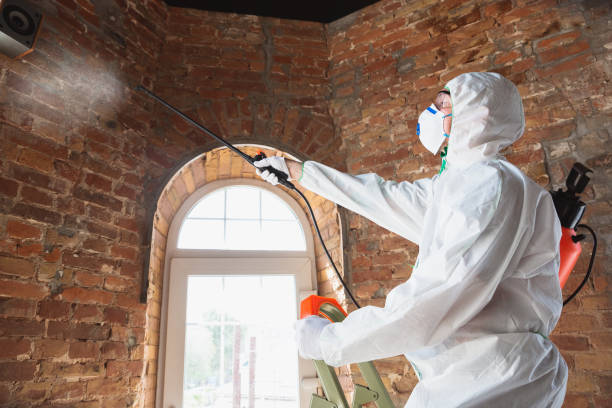 Mold Removal for HVAC Installations in Frenchtown, NJ